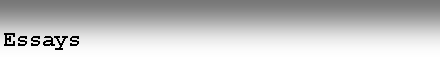 Tekstvak: Essays